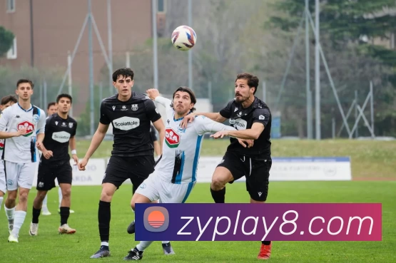 众游娱乐官网品牌故事